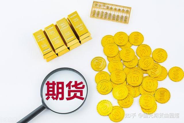 国宝“兄弟”冰城安家！大熊猫“芝士”“芝麻”抵达哈尔滨