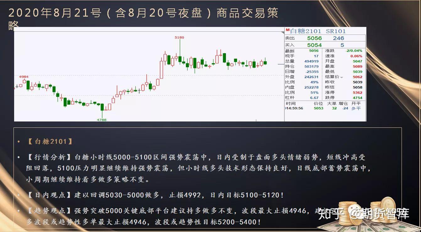 岭师健儿闪耀省大运会赛场